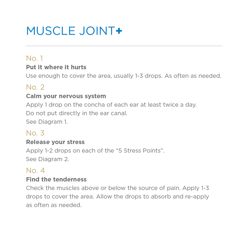Muscle Joint