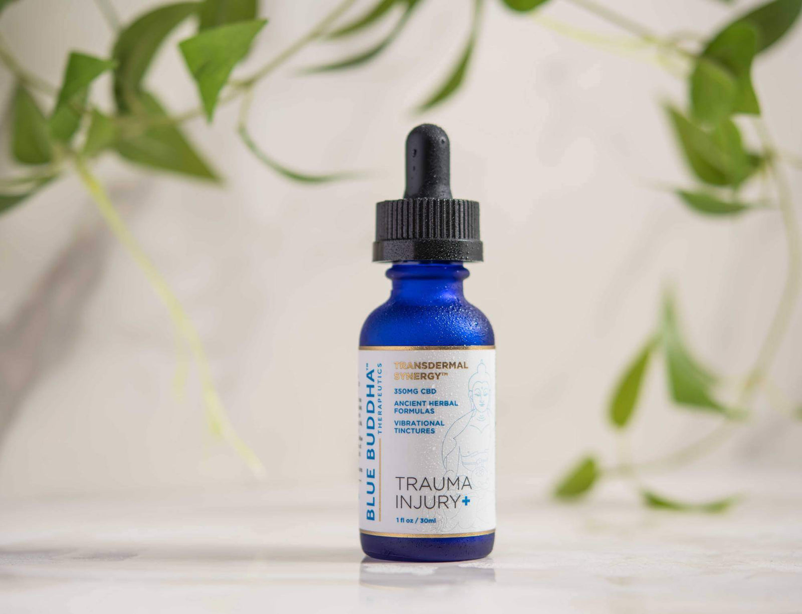 30ml×3 トゥルーテルペン 香料 CBD CBN  Blue Widow Bluebird Botanicals, Downshift CBN + CBD Oil, Full Spectrum